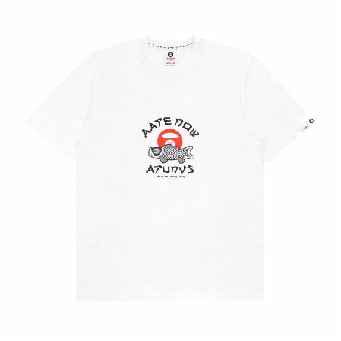 Aape T