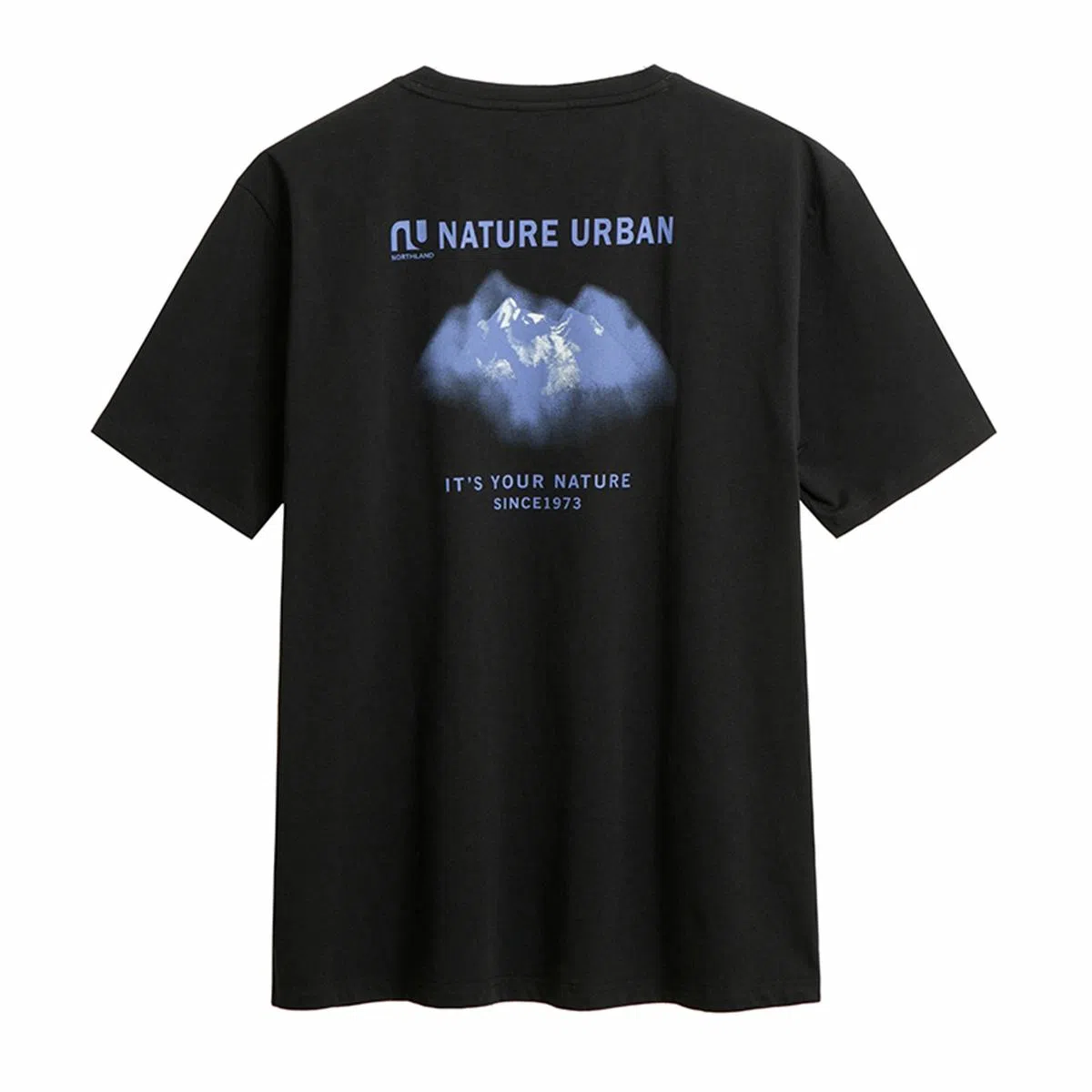 NORTHLAND PROFESSIONAL T