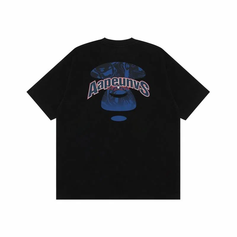 Aape T