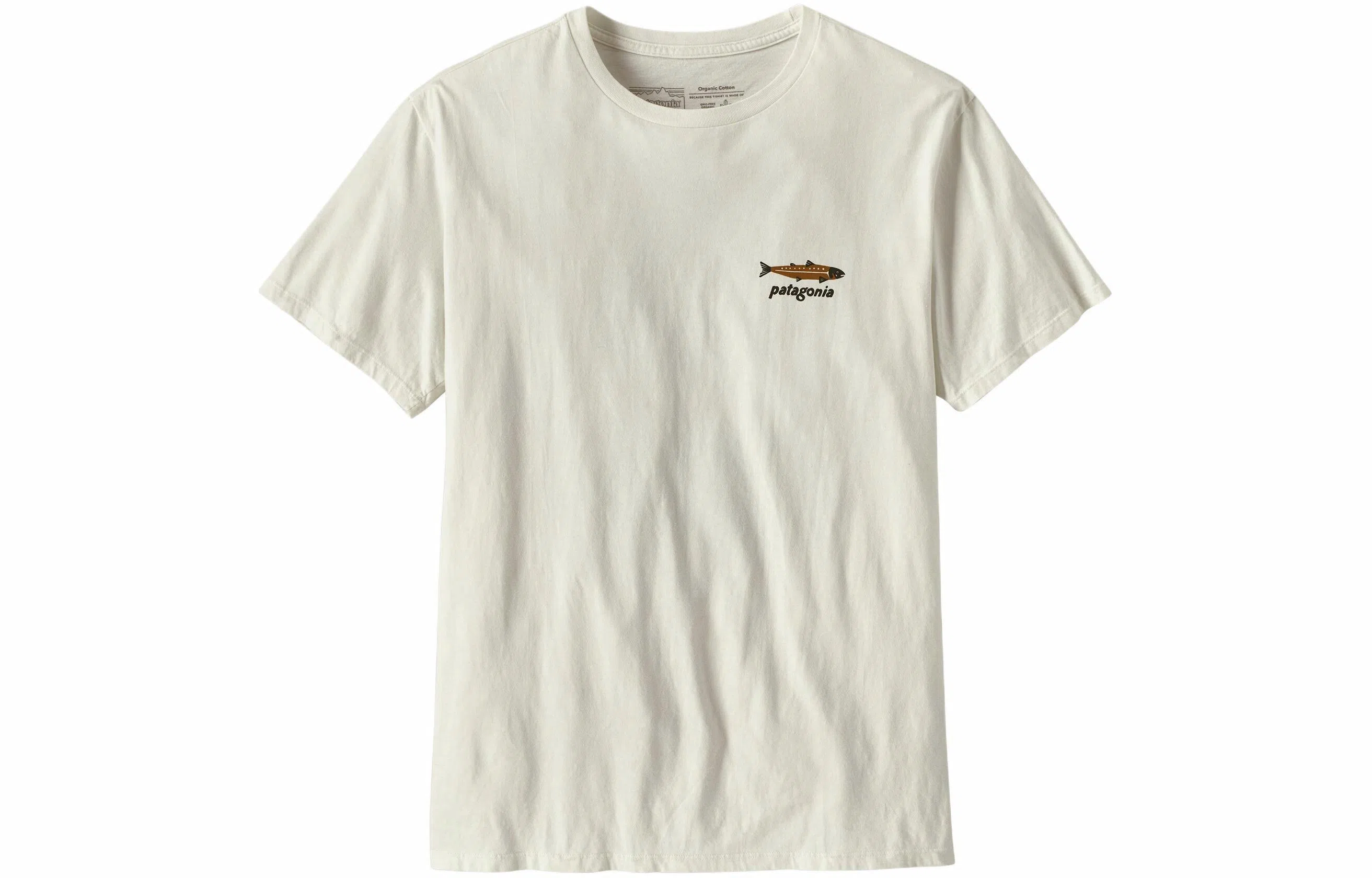 patagonia T