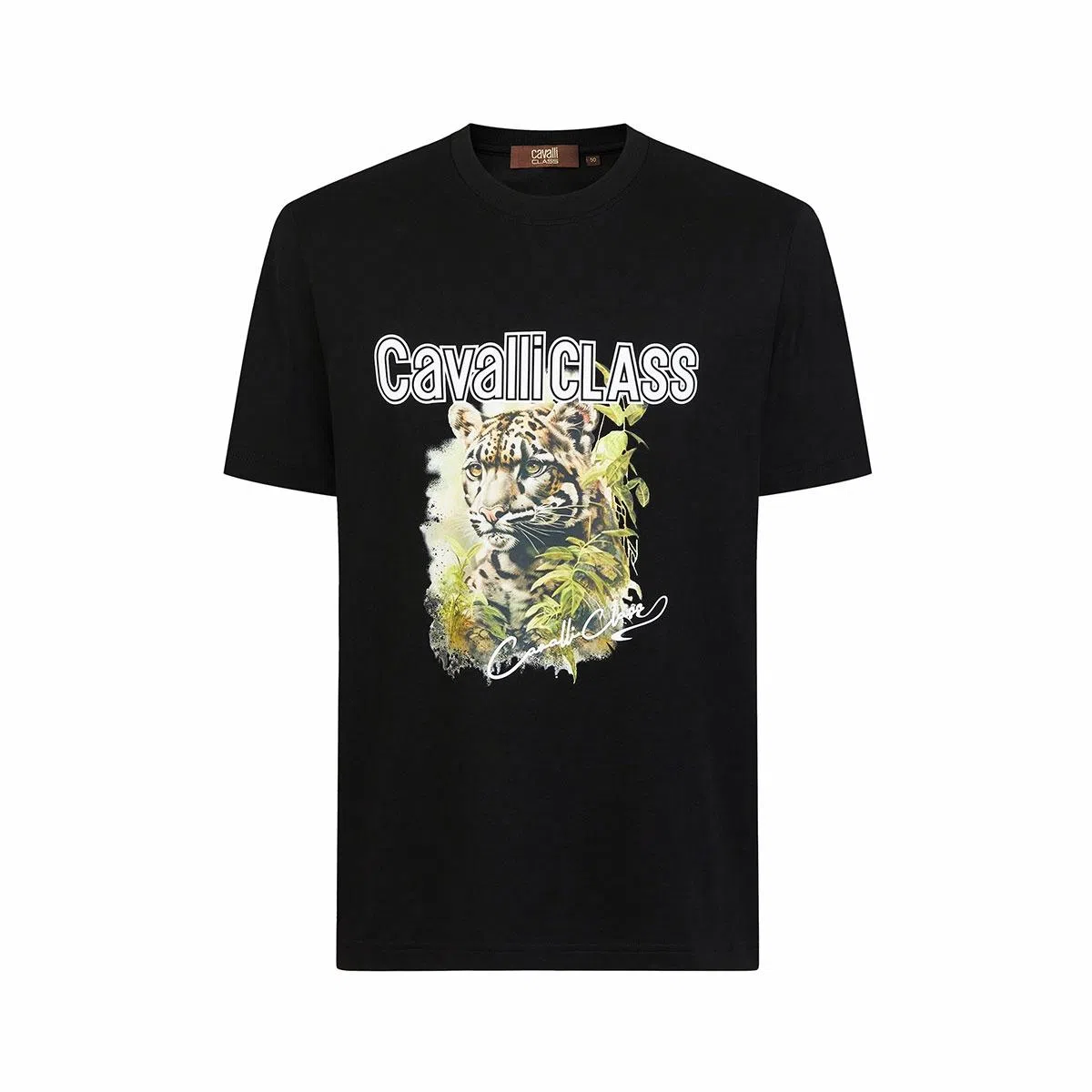 Cavalli Class T