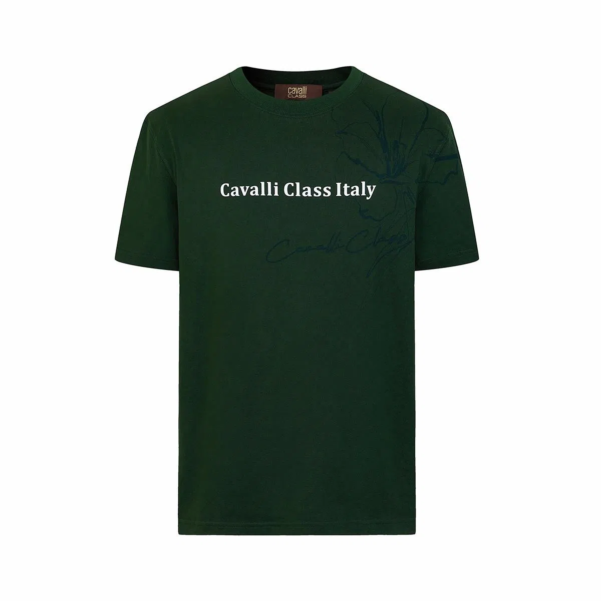 Cavalli Class T
