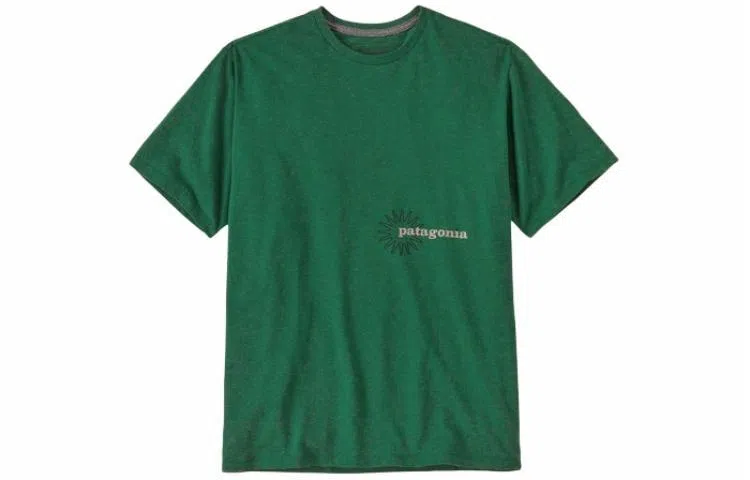 patagonia T