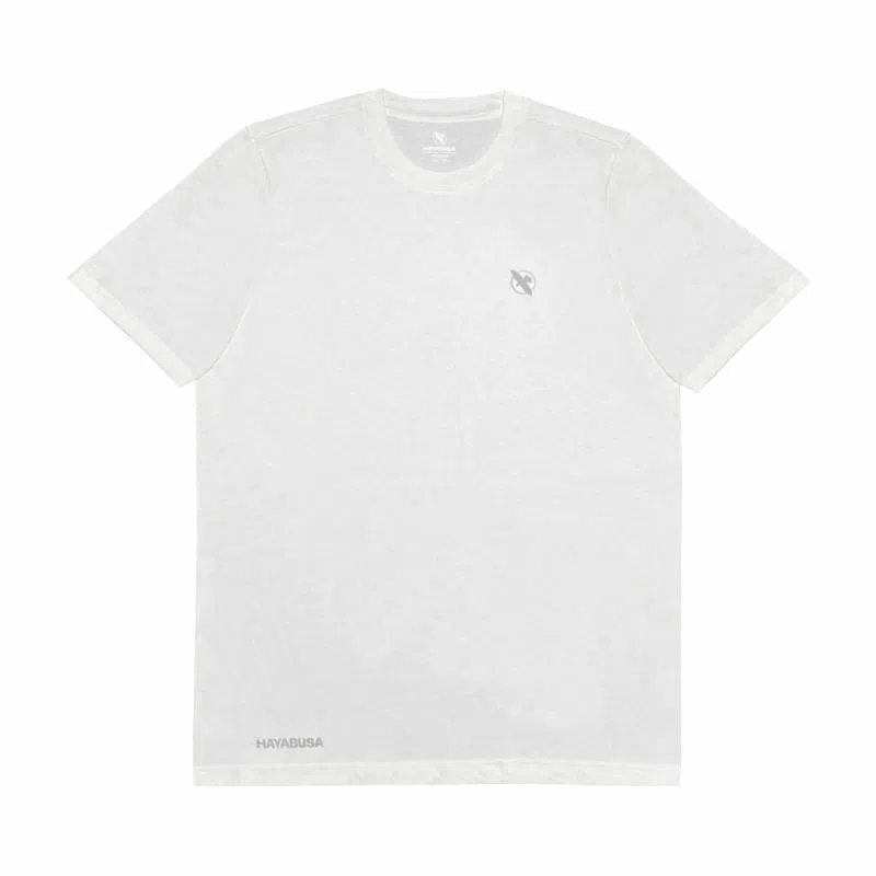 HAYABUSA T
