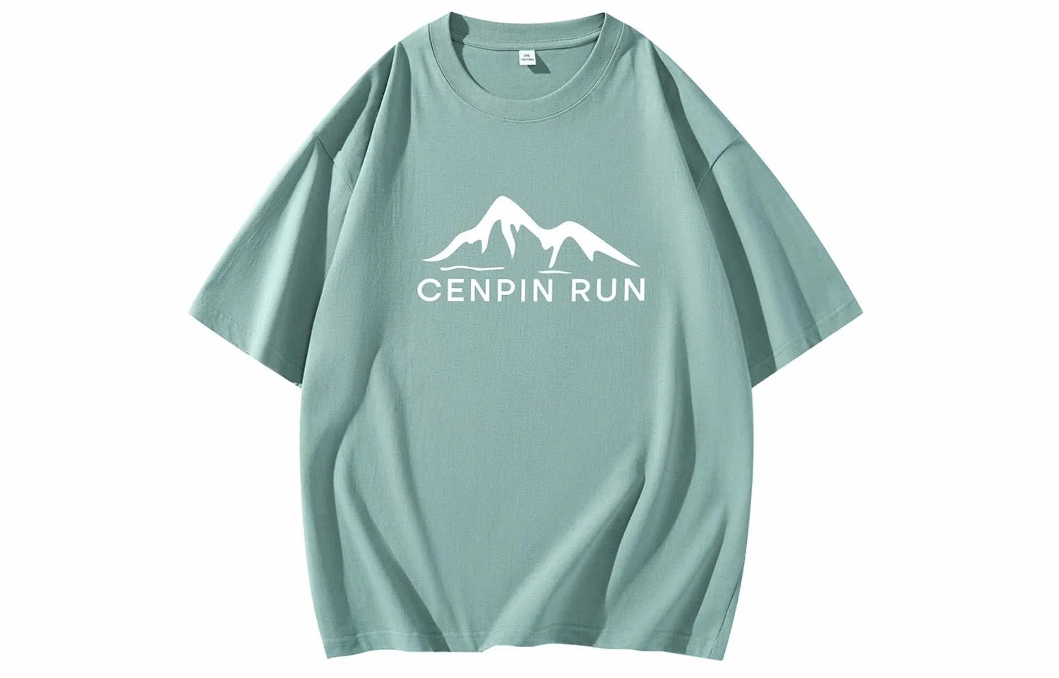 CENPIN T