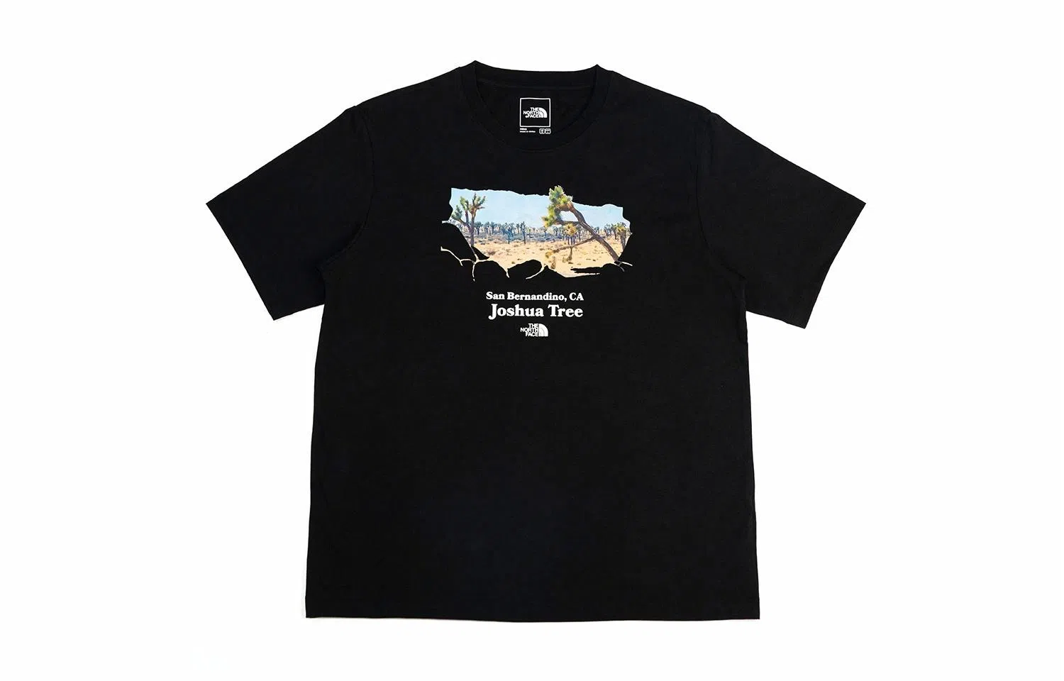 THE NORTH FACE SS24T