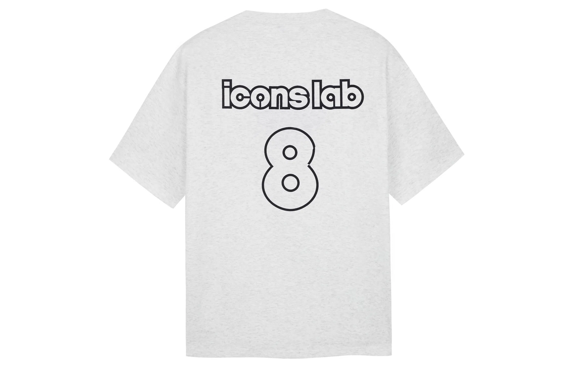 ICONS Lab 8T