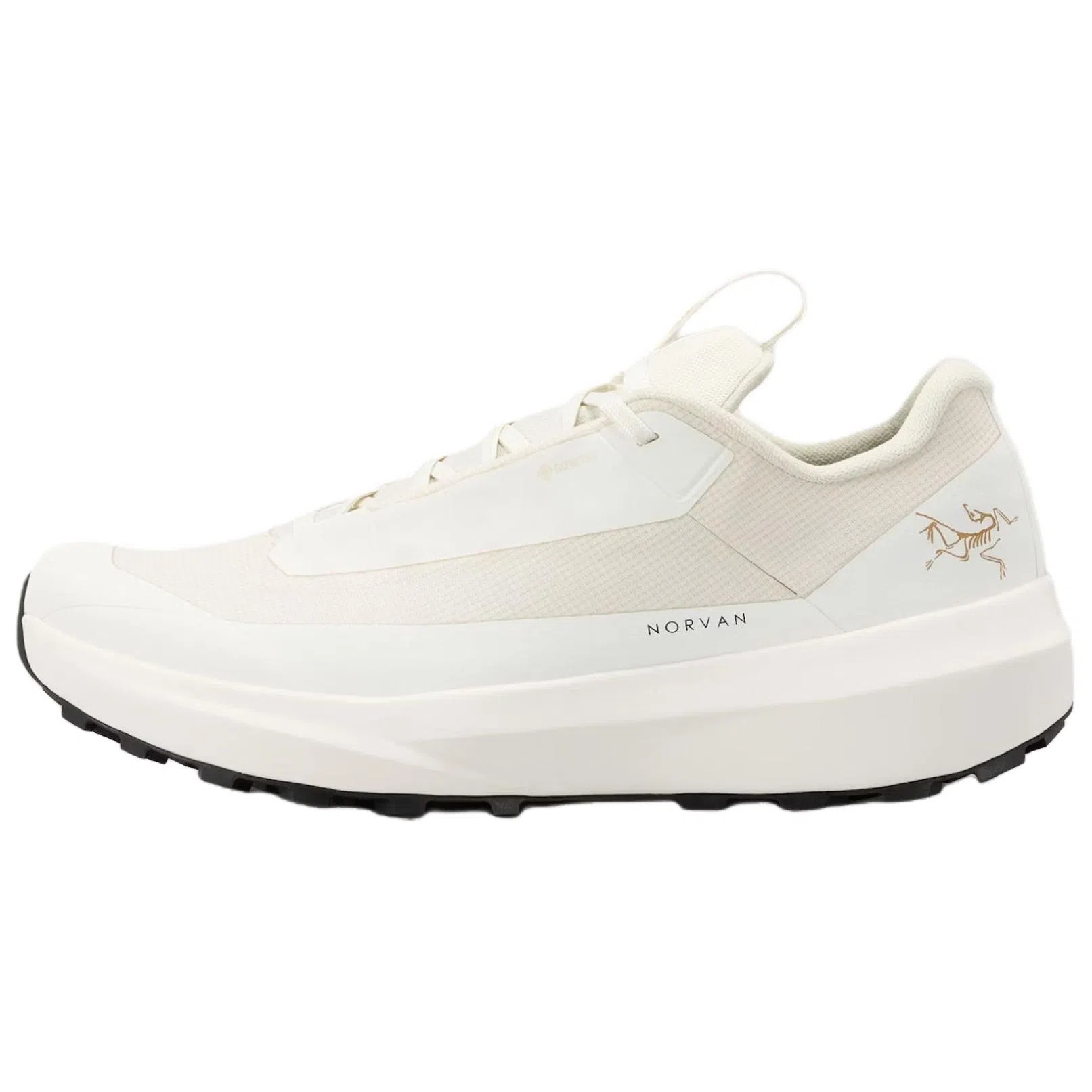 Arcteryx Norvan LD 4 GORE-TEX