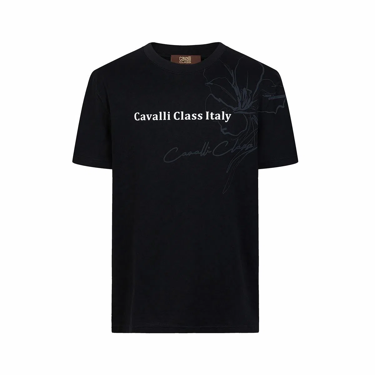 Cavalli Class T