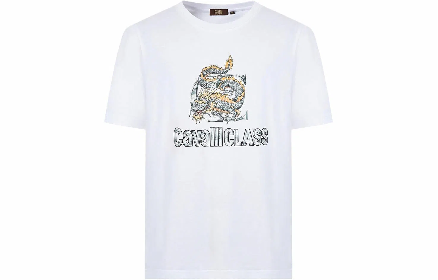 Cavalli Class T