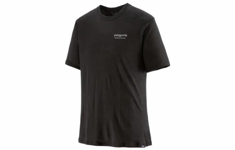 patagonia Capilene Cool Merino Graphic Shirt T