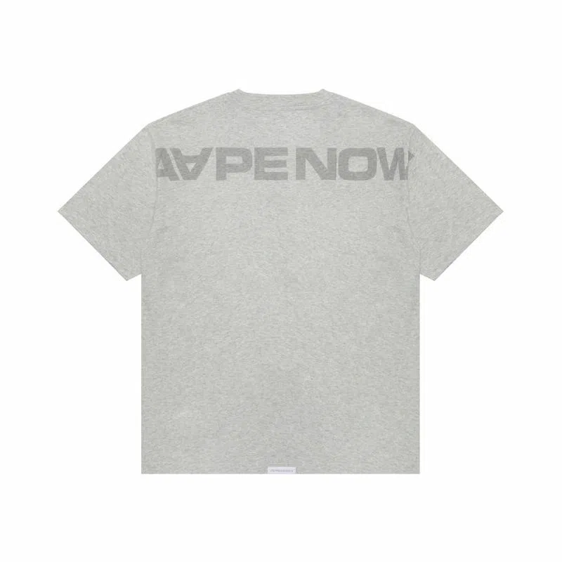 Aape T