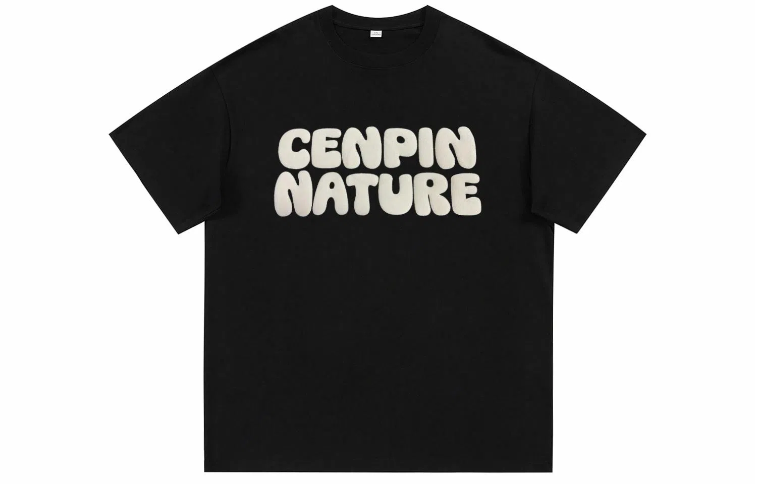 CENPIN T