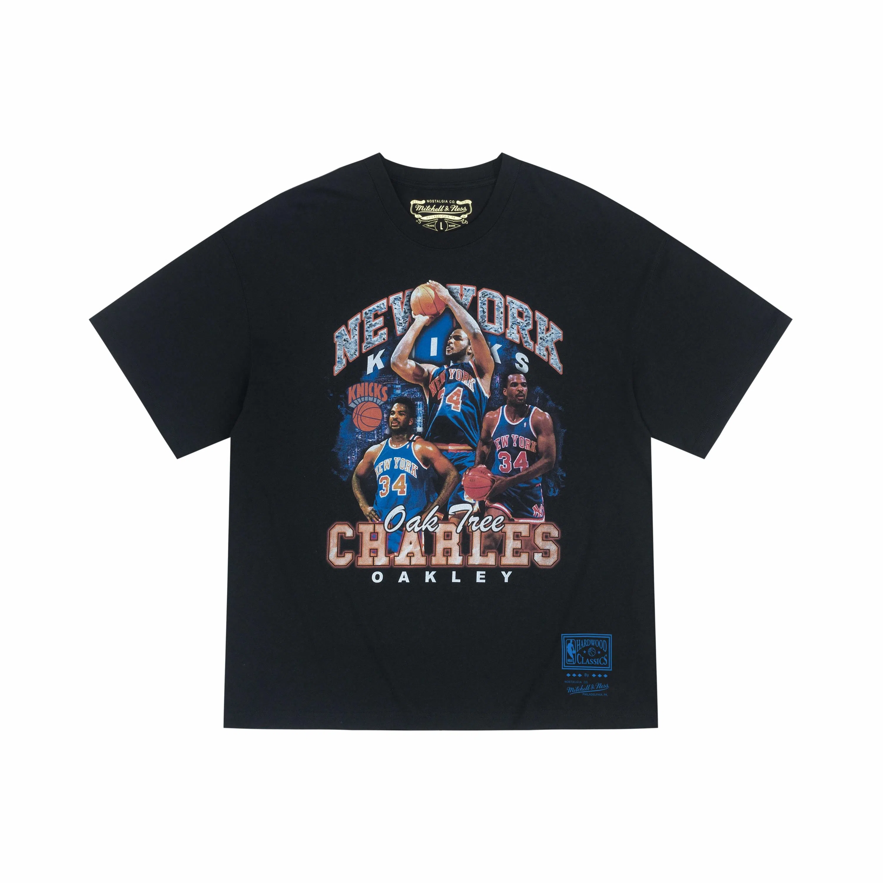 Mitchell Ness NBA 34 T