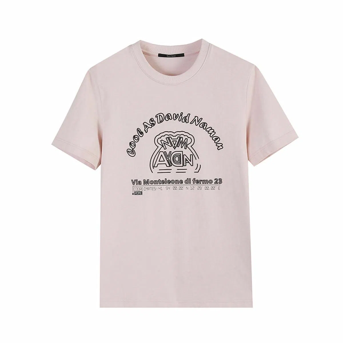 DAVID NAMAN logoT