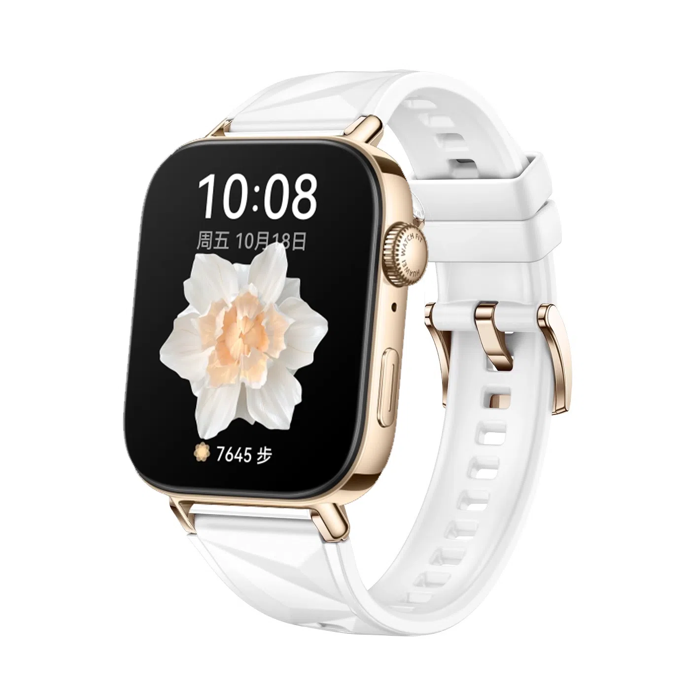 FZRT 193mm fit3watch FIT31