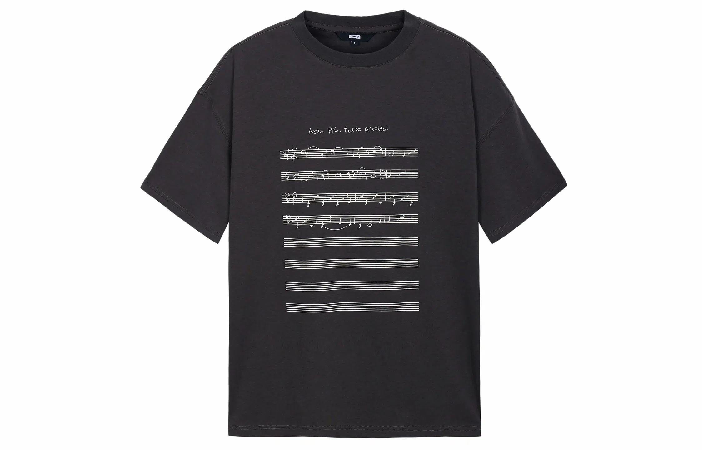 ICONS Lab T