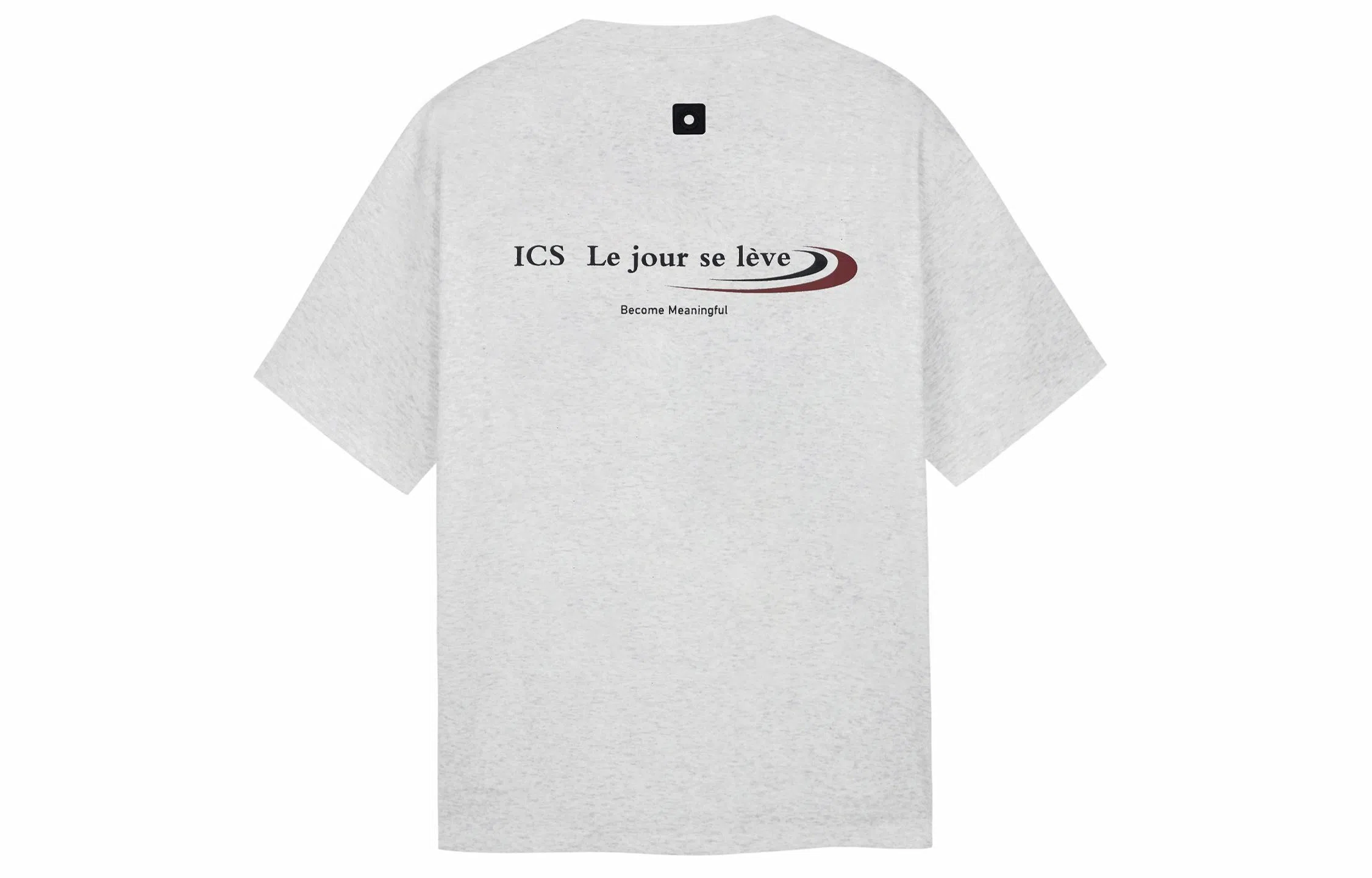ICONS Lab T