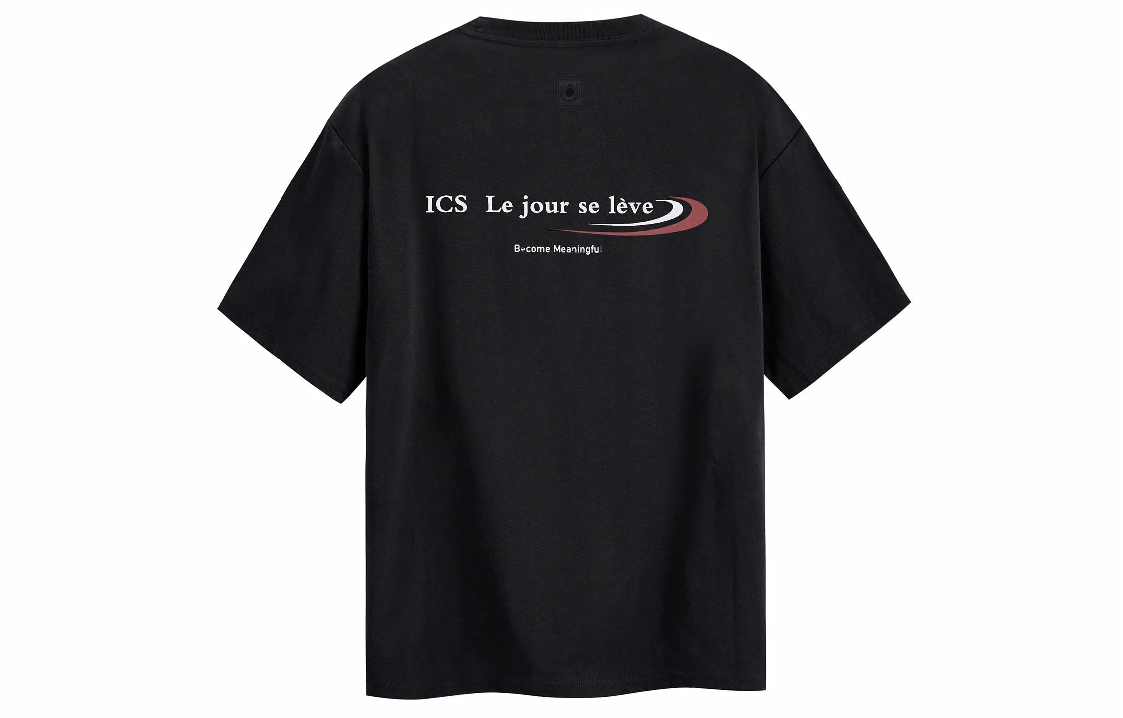 ICONS Lab T