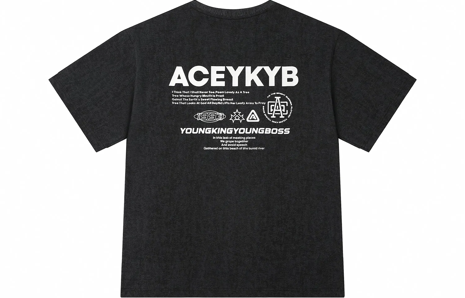 YKYB SS24 T