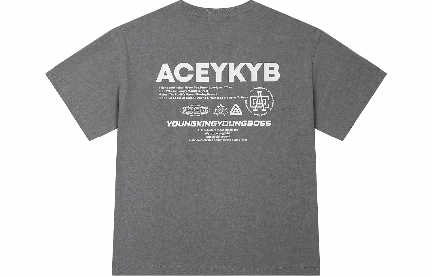 YKYB SS24 T
