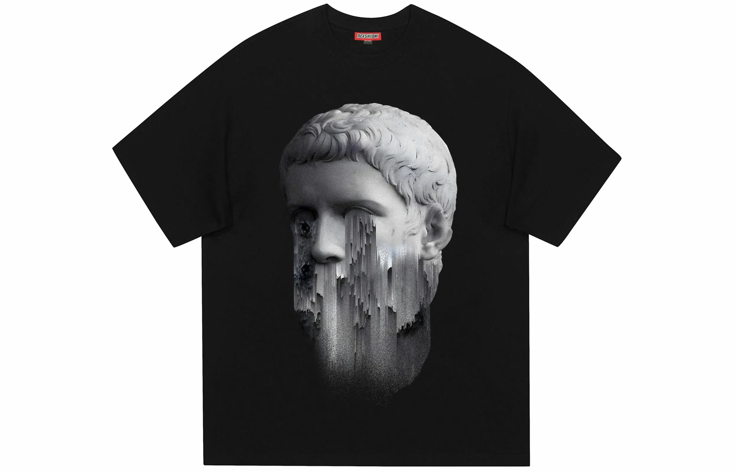REXSHION T