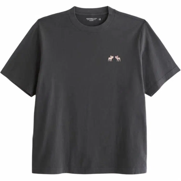 AbercrombieFitch T