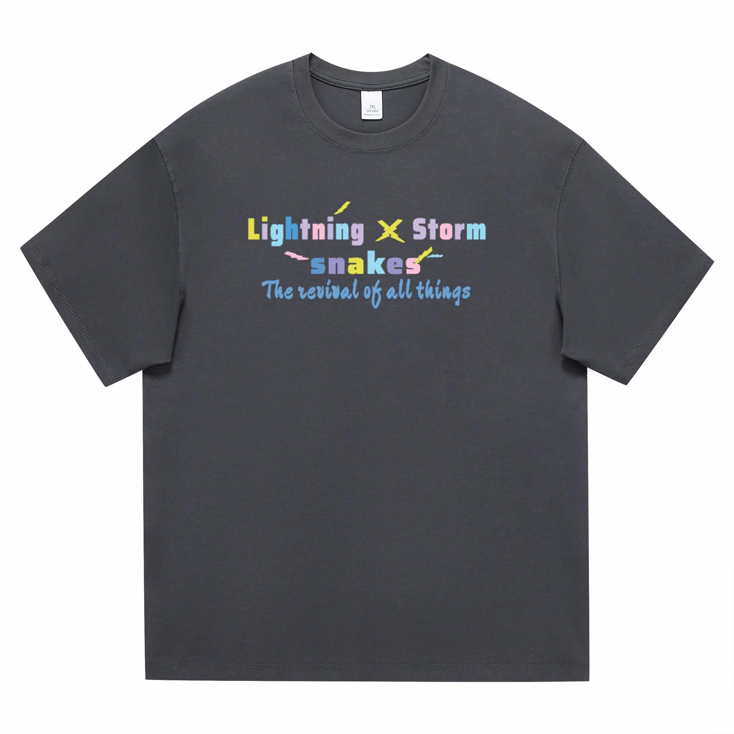 Lightning X Storm LogoT