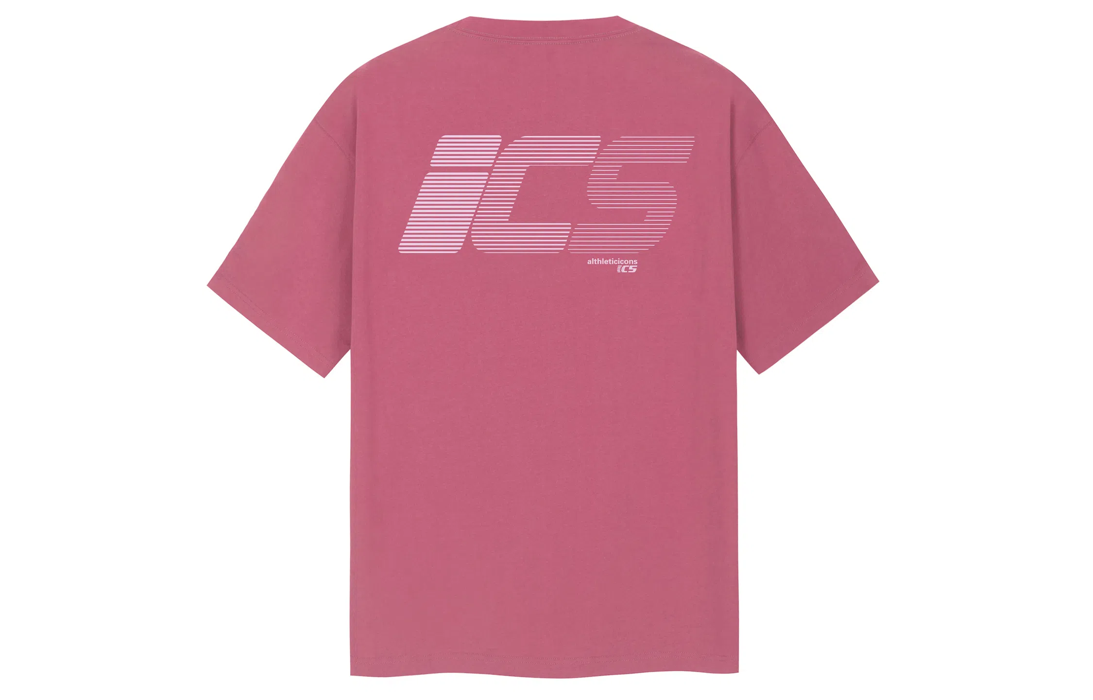 ICONS Lab T