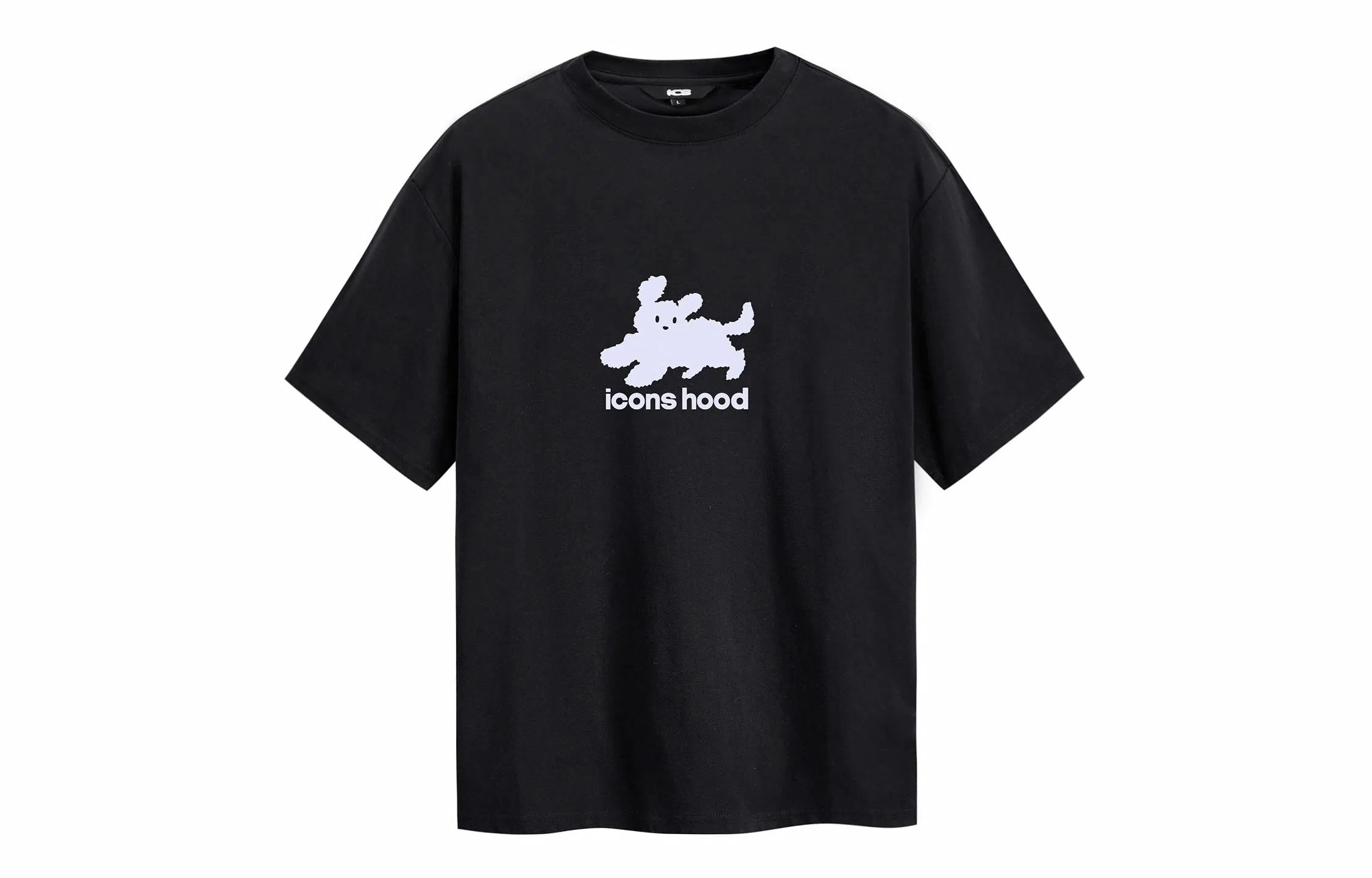 ICONS Lab T