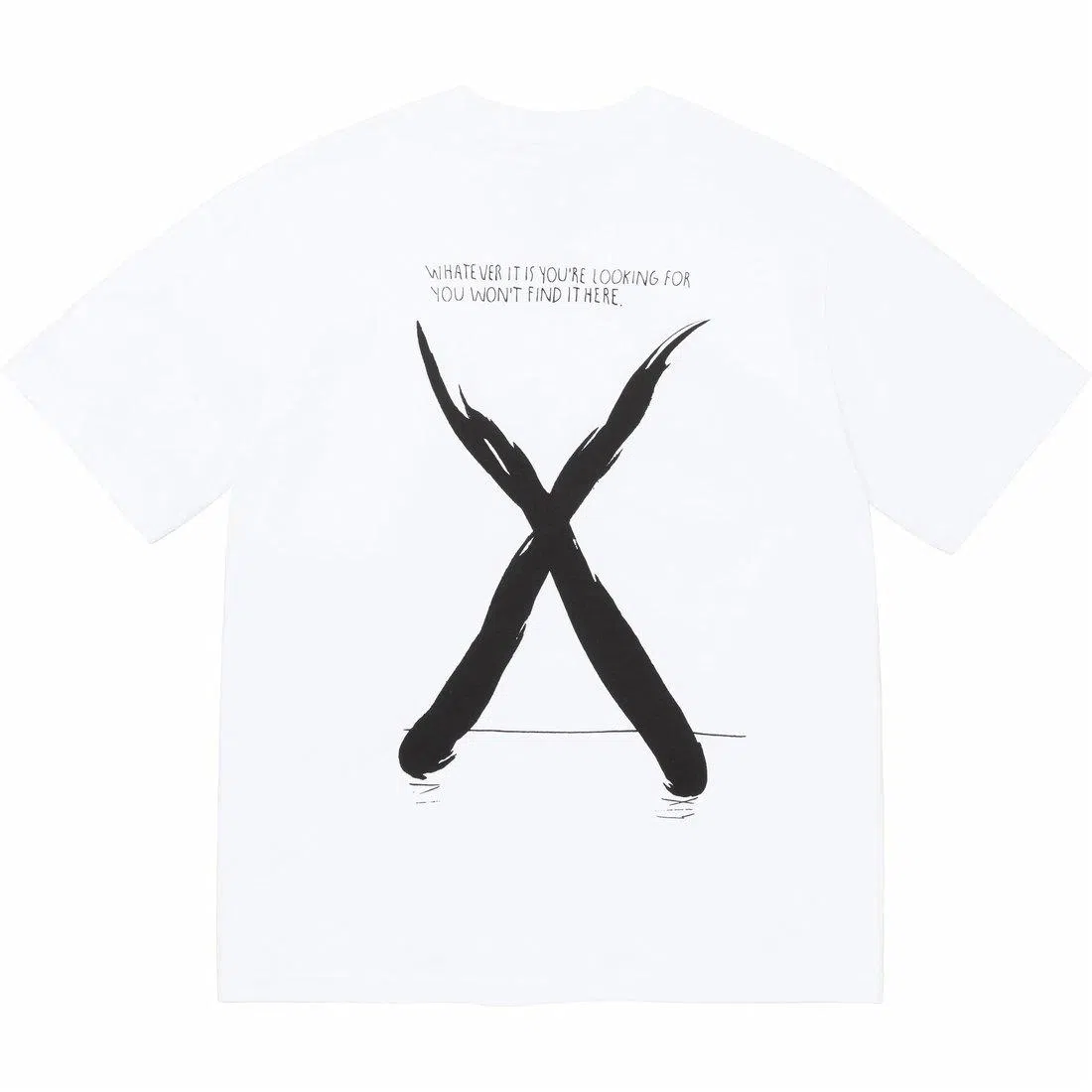 Supreme x The North Face FW24 T-Shirt