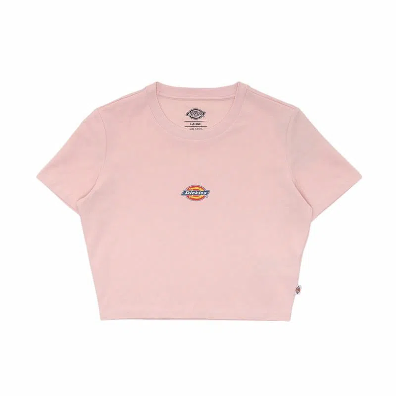 Dickies T DK012314B80