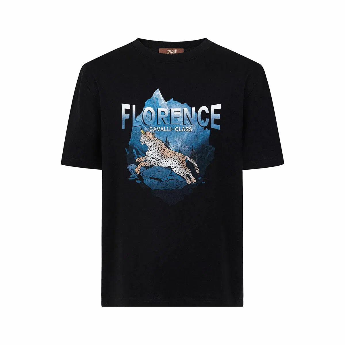 Cavalli Class T