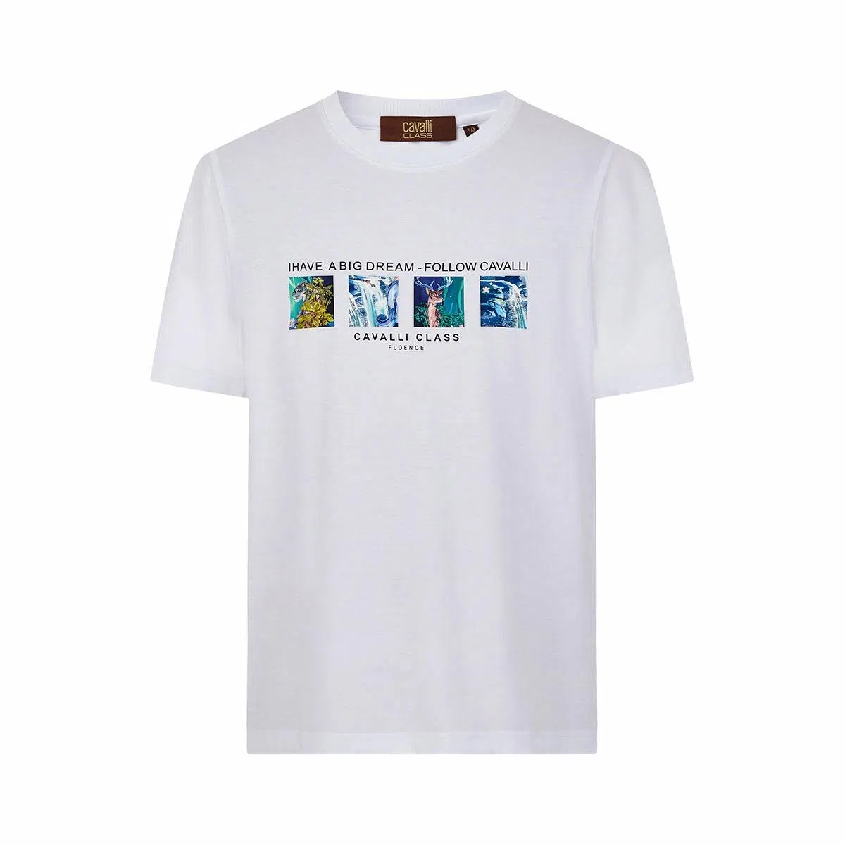 Cavalli Class T