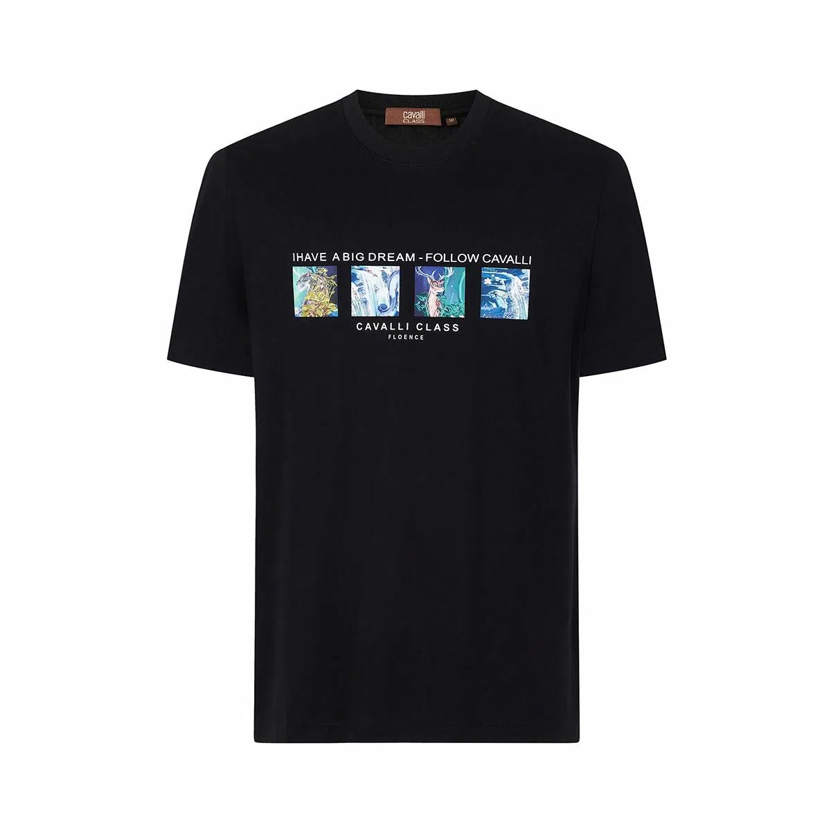 Cavalli Class T