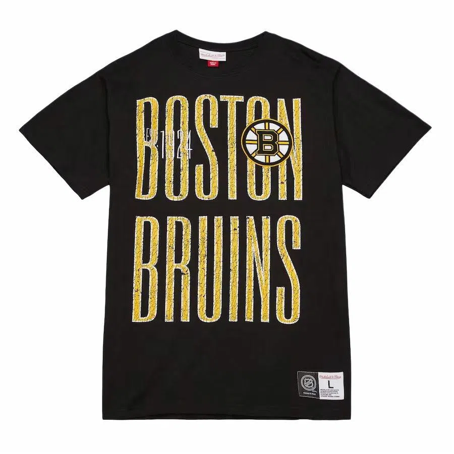 Mitchell Ness x NHL Boston Bruins Team OG T