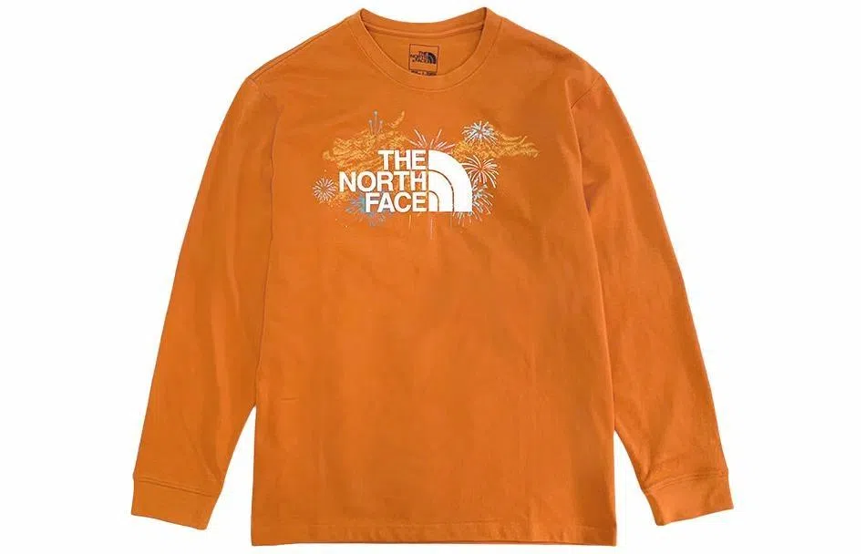 THE NORTH FACE Logo T