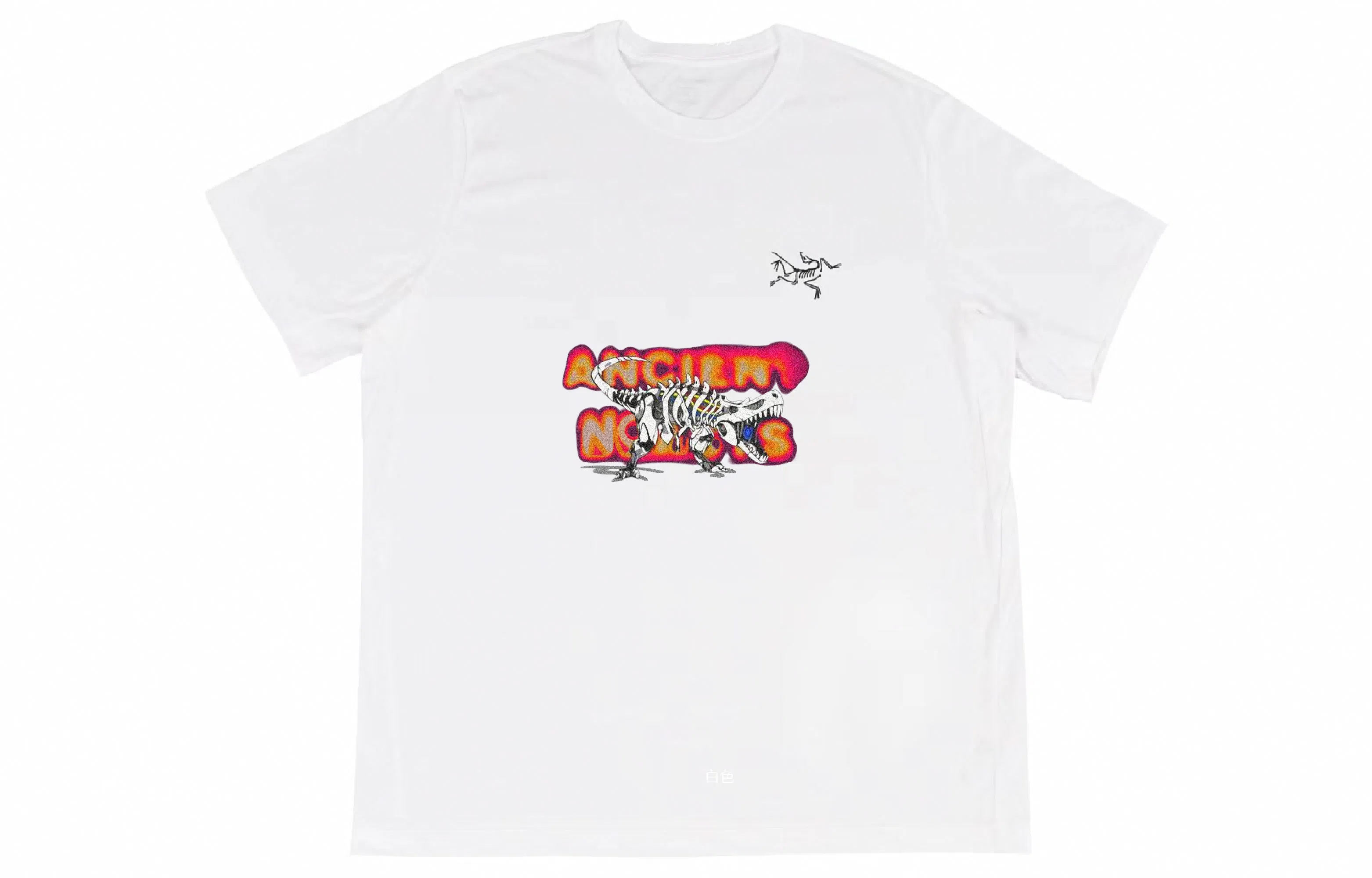 Arcteryx YXYY Multi Bird Logo Ss T