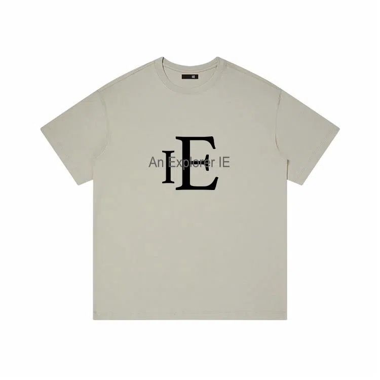IE logoT