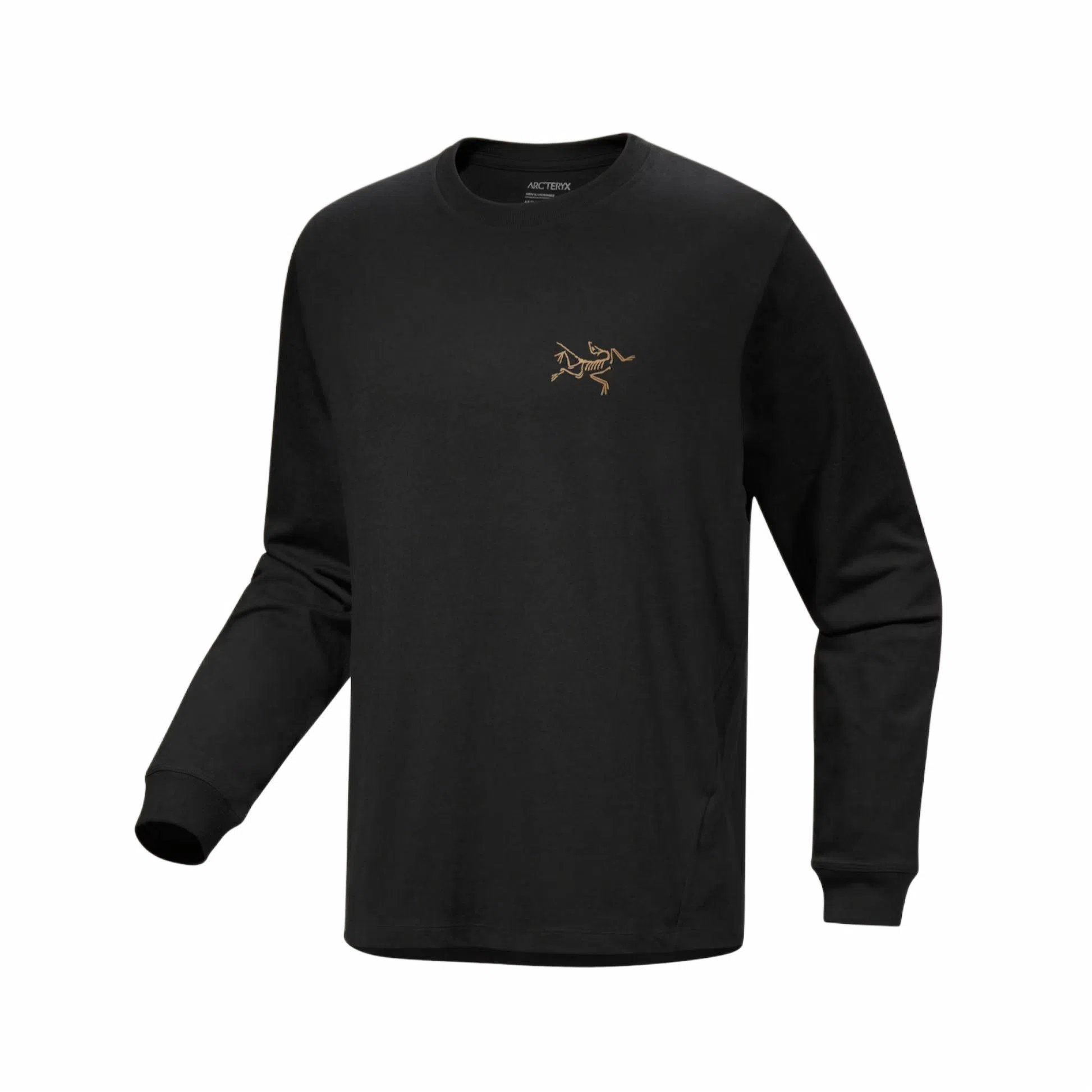 Arcteryx Kragg LogoT