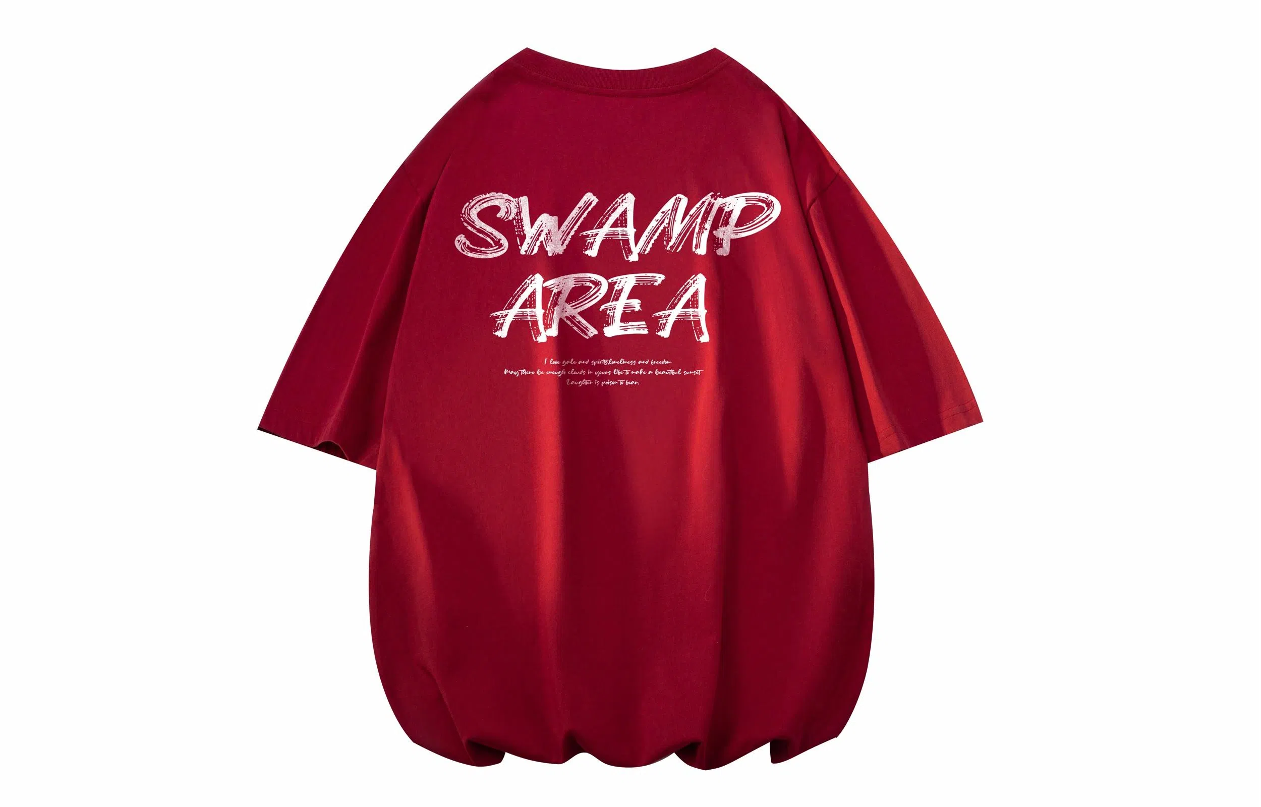 SWAMP AREA T