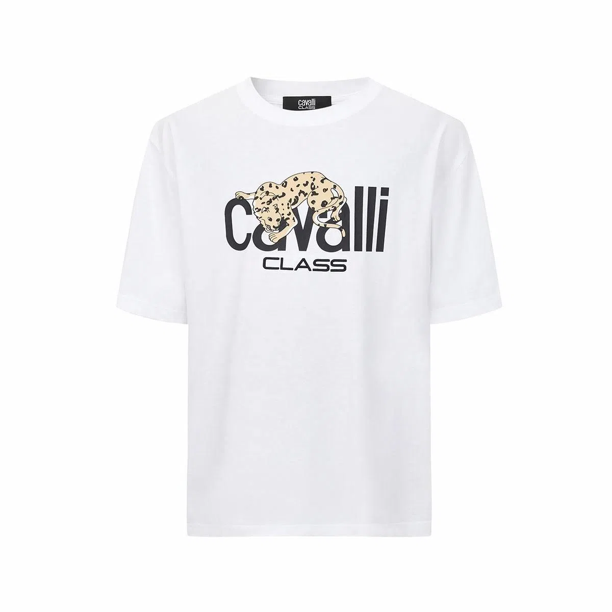 Cavalli Class T