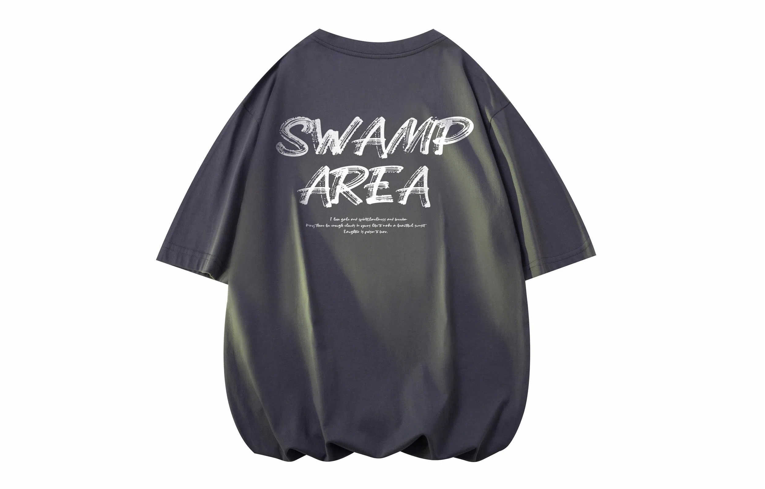 SWAMP AREA T
