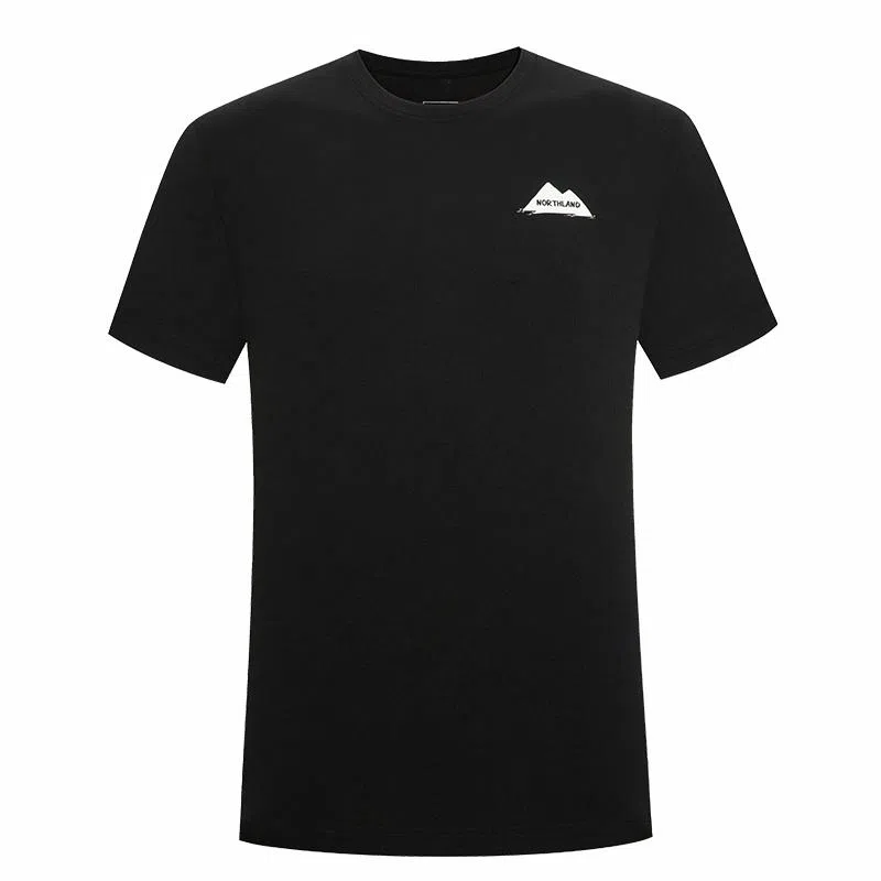 NORTHLAND PROFESSIONAL T