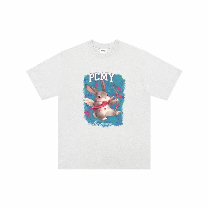 PCMY T