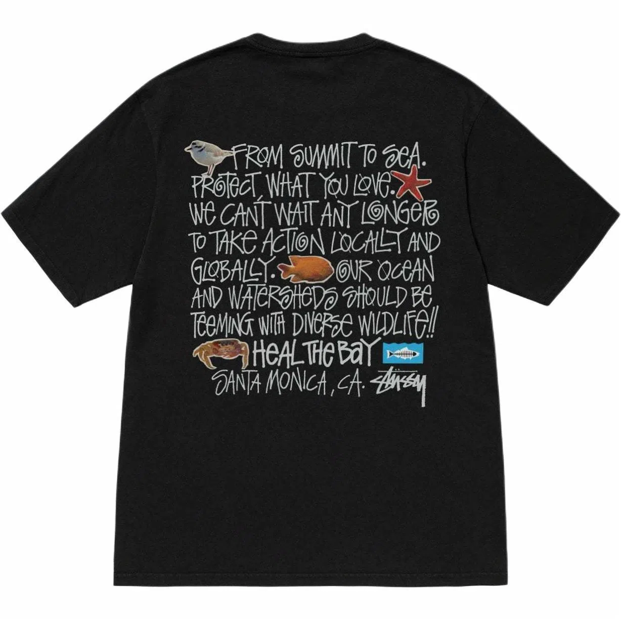 Stussy x Heal The Bay SS24 T