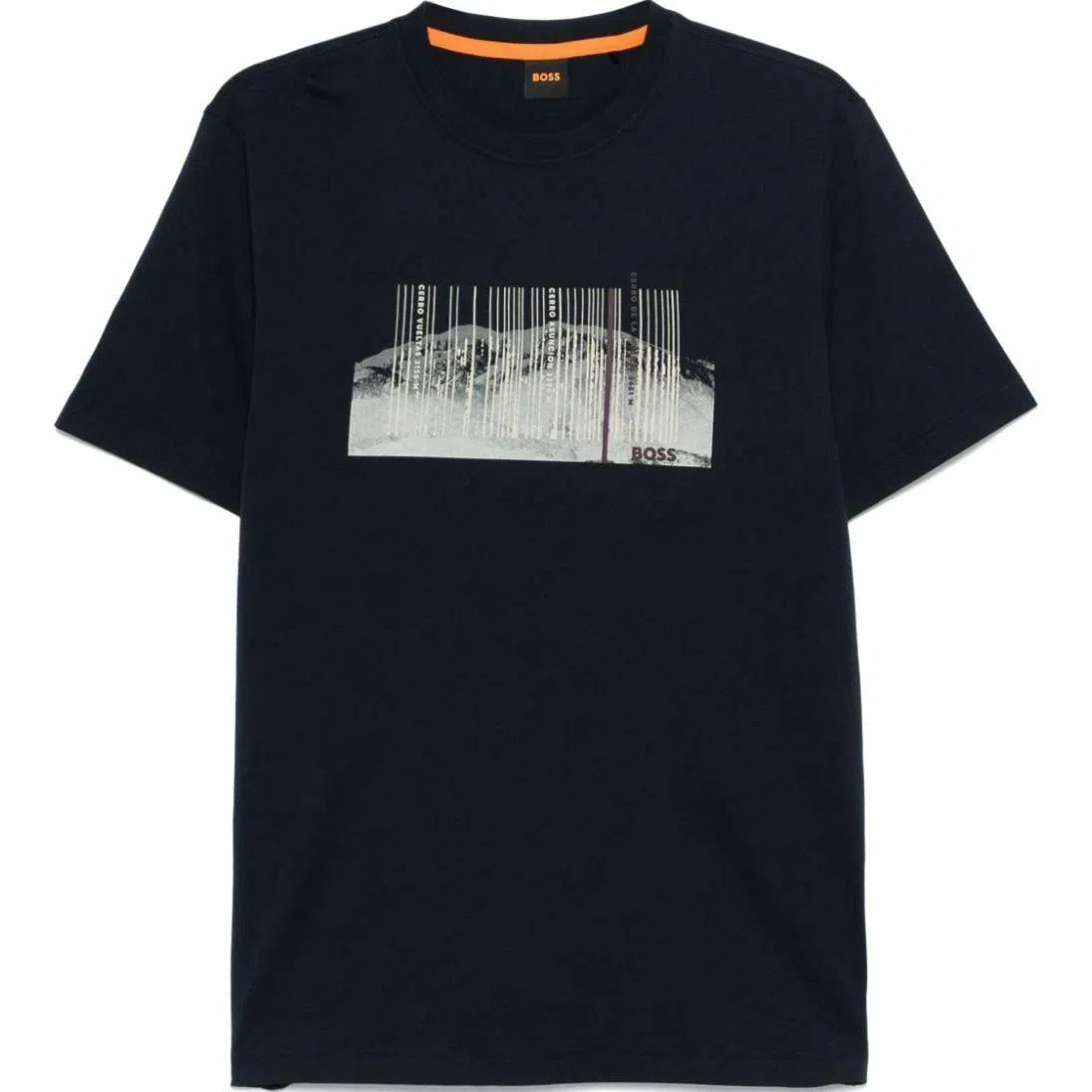 HUGO BOSS T