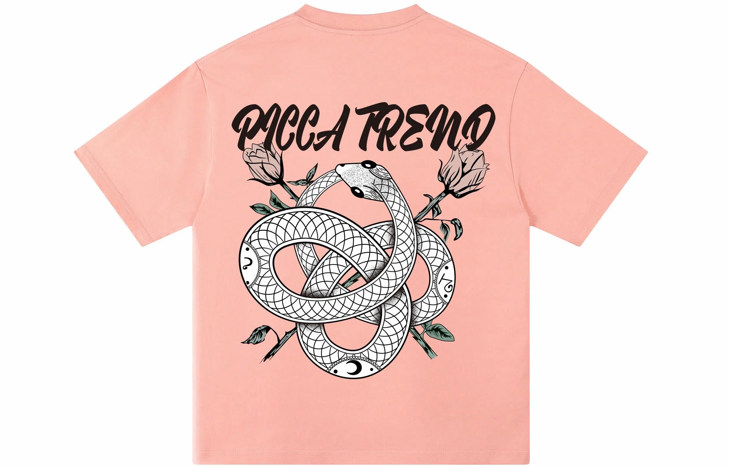 Picca LogoT