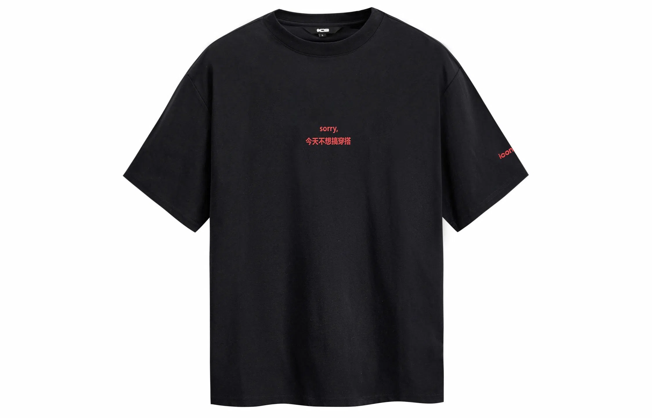 ICONS Lab T