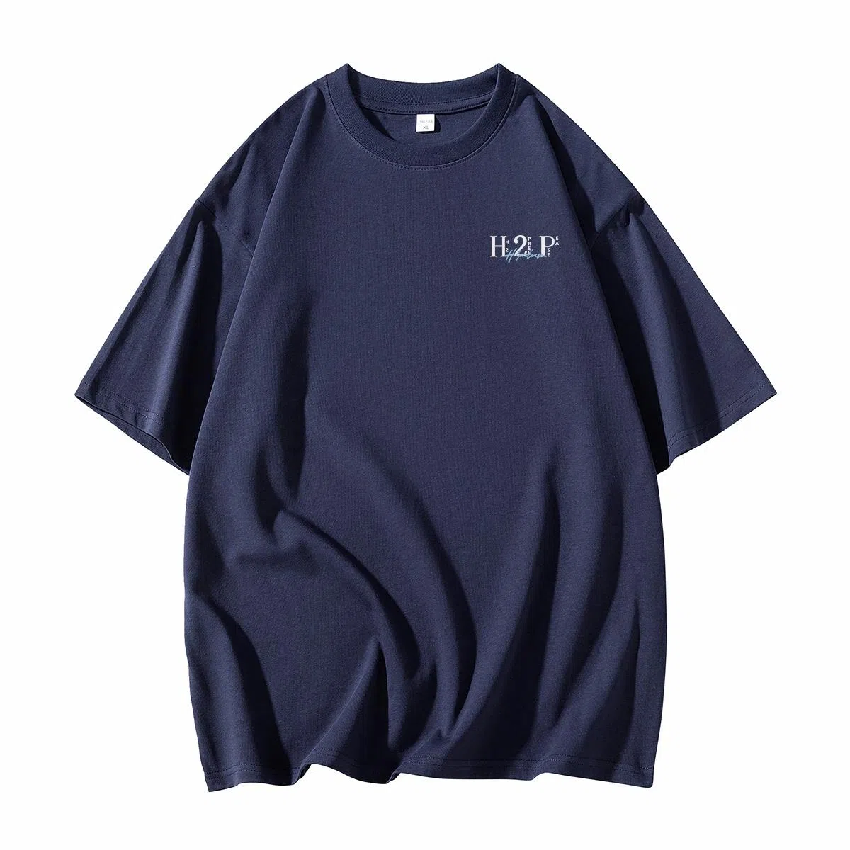 H2P logoT